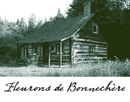 Photo : la cabane de Basin Depot