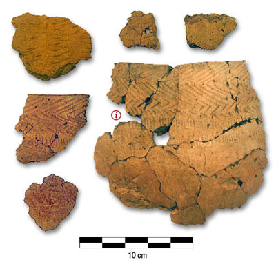 Photograph of pottery from the Round Lake Shoreline