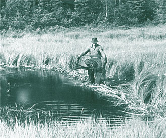 Photograph of park ranger with beaver in a live trap
