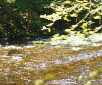 Photograph of river cobble