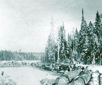 Photograph of logs on frozen river