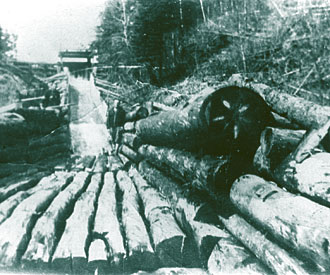Photograph of log chute