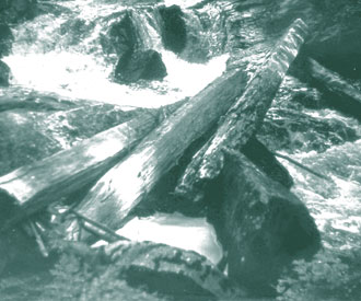 Photograph of abandoned square timber